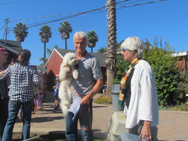 Blessing of the animals - 2015